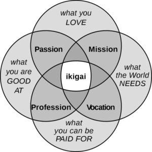 How to discover your ikigai